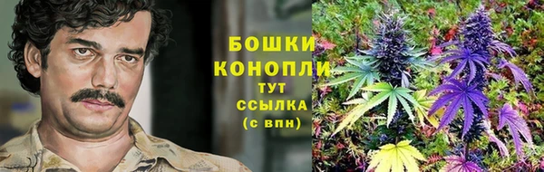 COCAINE Белокуриха
