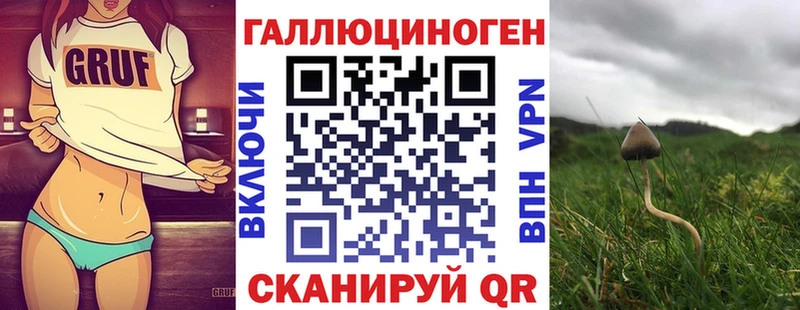 Псилоцибиновые грибы MAGIC MUSHROOMS  Купить где  Чёрмоз 